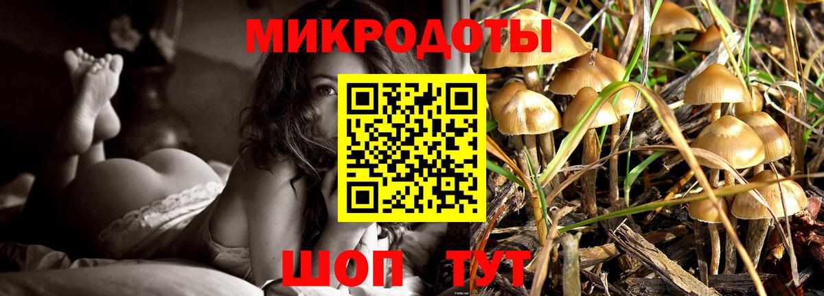 Усть-Джегута  Галлюциногенные грибы Cubensis  дарнет шоп  Вход с VPN 
